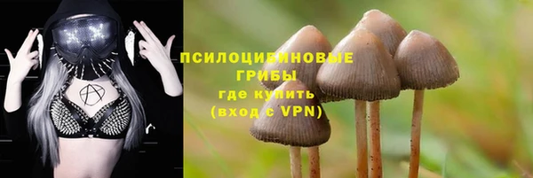 таблы Алексин